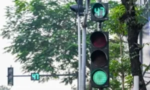 Đèn giao thông chuyển xanh, không đi có sao không? Đèn giao thông chuyển xanh, không đi có sao không?
