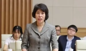 'Việt Nam không muốn thành thiên đường về thuế để thu hút các định chế tài chính'
