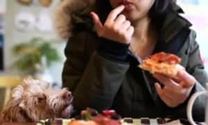 Những người 'ăn mãi không thể béo' Những người 'ăn mãi không thể béo'