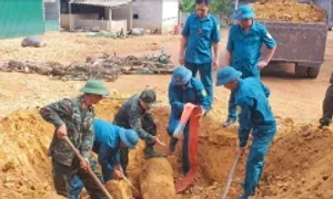 Phát hiện bom 350 kg khi làm vườn Phát hiện bom 350 kg khi làm vườn