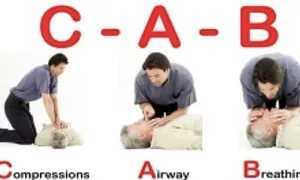Cách sơ cứu người ngưng tim, ngưng thở Cách sơ cứu người ngưng tim, ngưng thở
