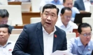 'Mỗi năm Việt Nam tiêu thụ bình quân 55 tấn vàng'